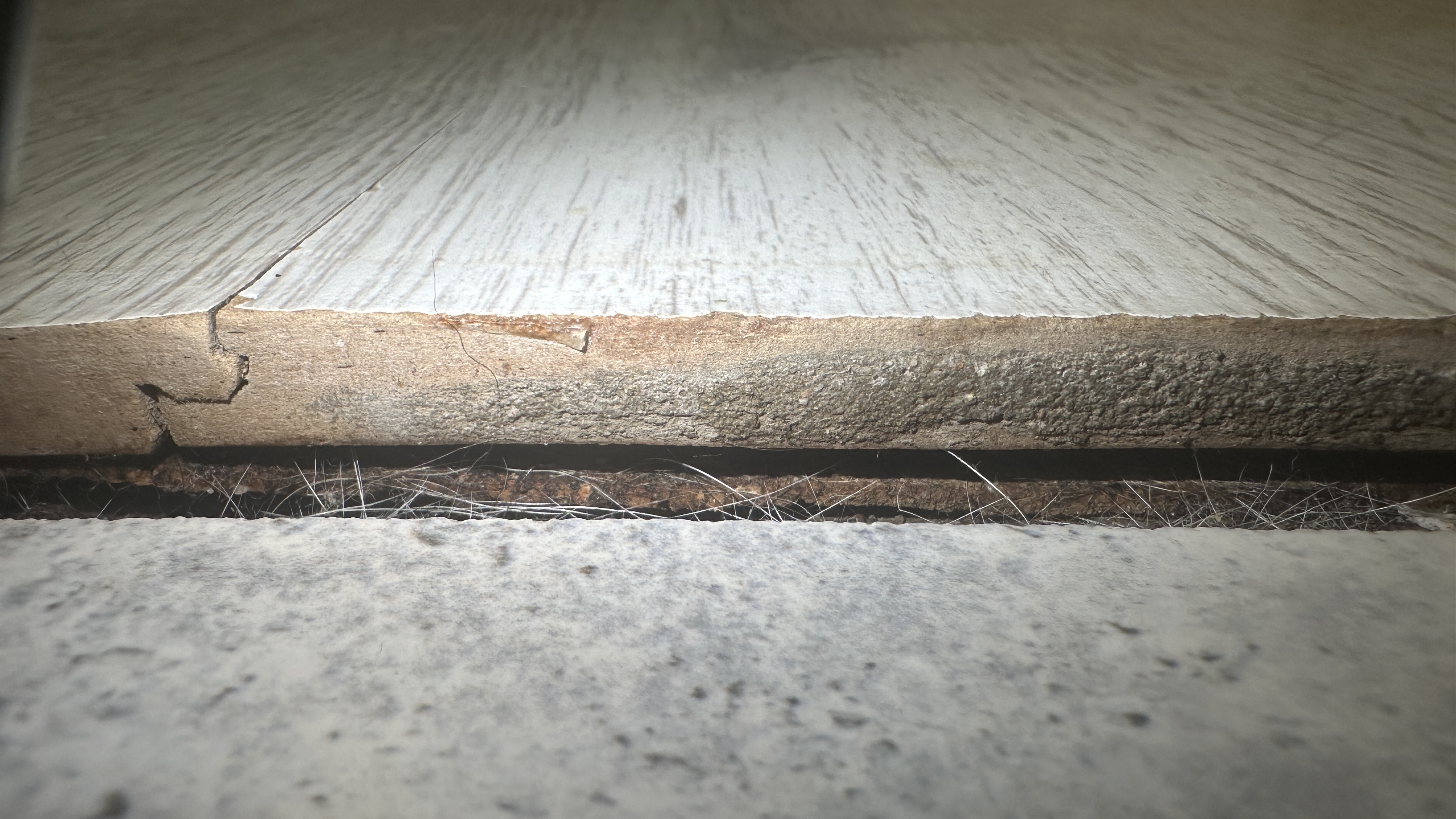 Разбухший ламинат от урины собаки