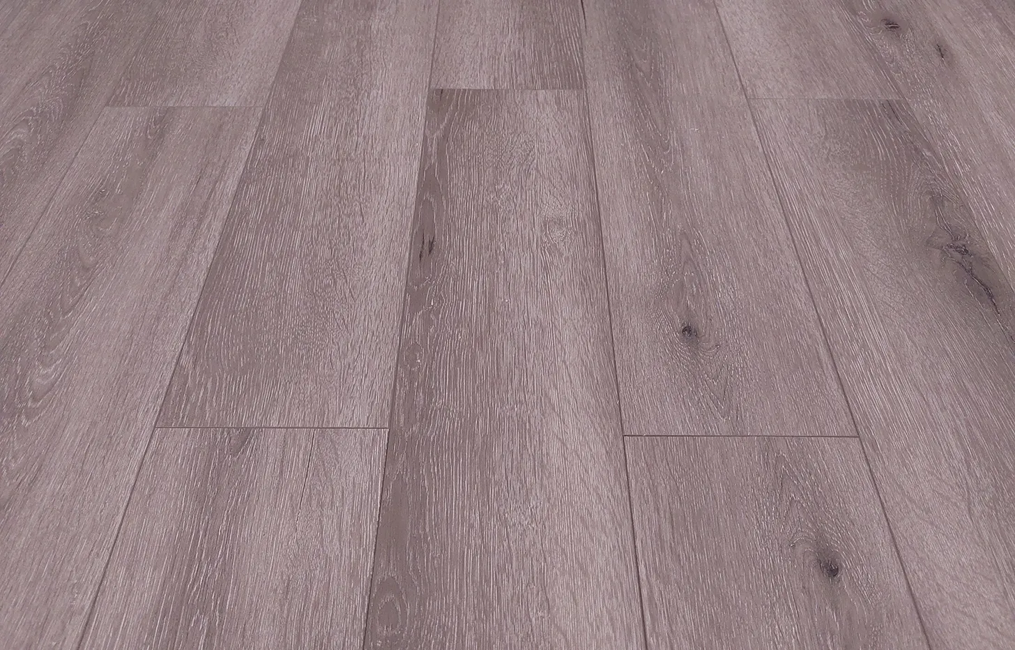 Дуб Старая гавань